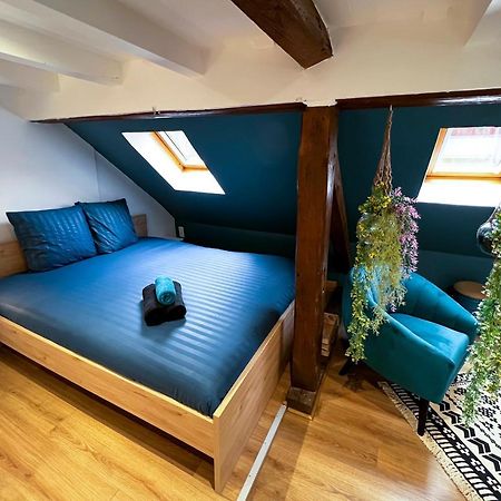 Au Duplex De Jeannala Apartment Selestat Bagian luar foto