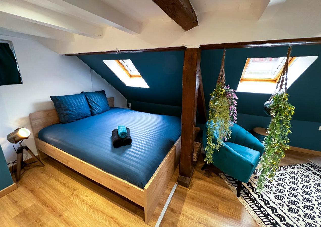 Au Duplex De Jeannala Apartment Selestat Bagian luar foto