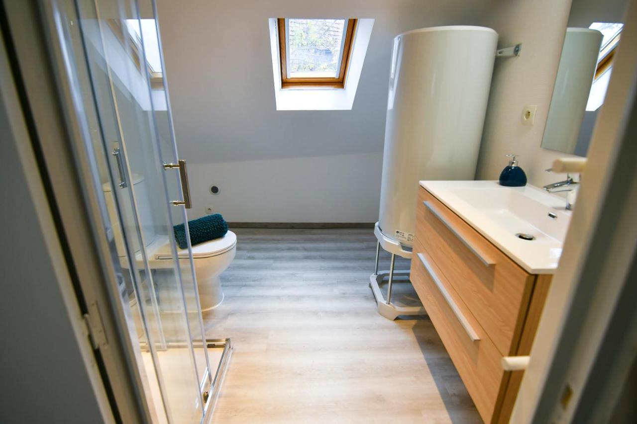 Au Duplex De Jeannala Apartment Selestat Bagian luar foto