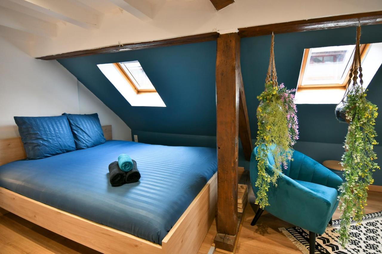 Au Duplex De Jeannala Apartment Selestat Bagian luar foto