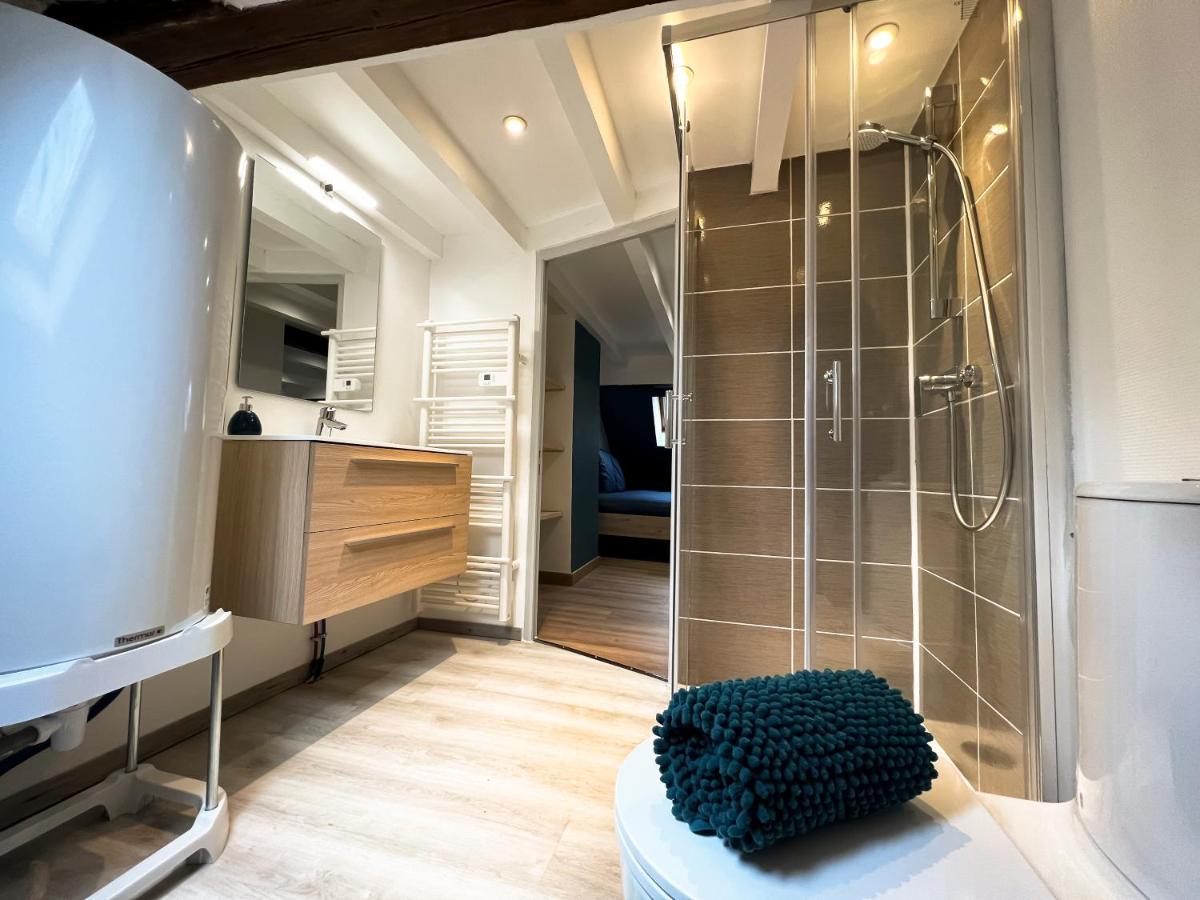 Au Duplex De Jeannala Apartment Selestat Bagian luar foto
